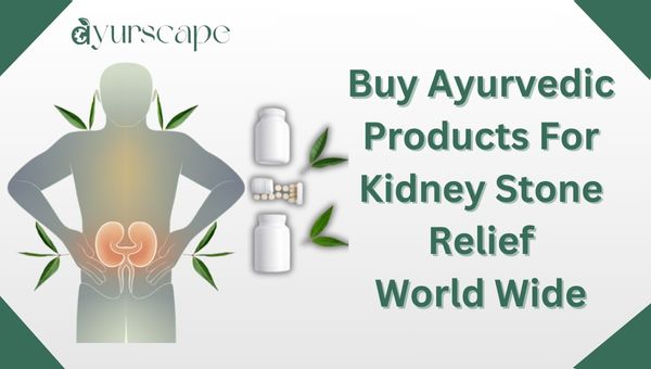 Buy Ayurvedic Products for Kidney Stone Relief - Picture Of Human Figure with kidney stone and ayurvedic products